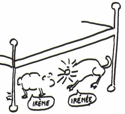 La paix
