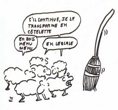 De quel boa je me chauffe ?